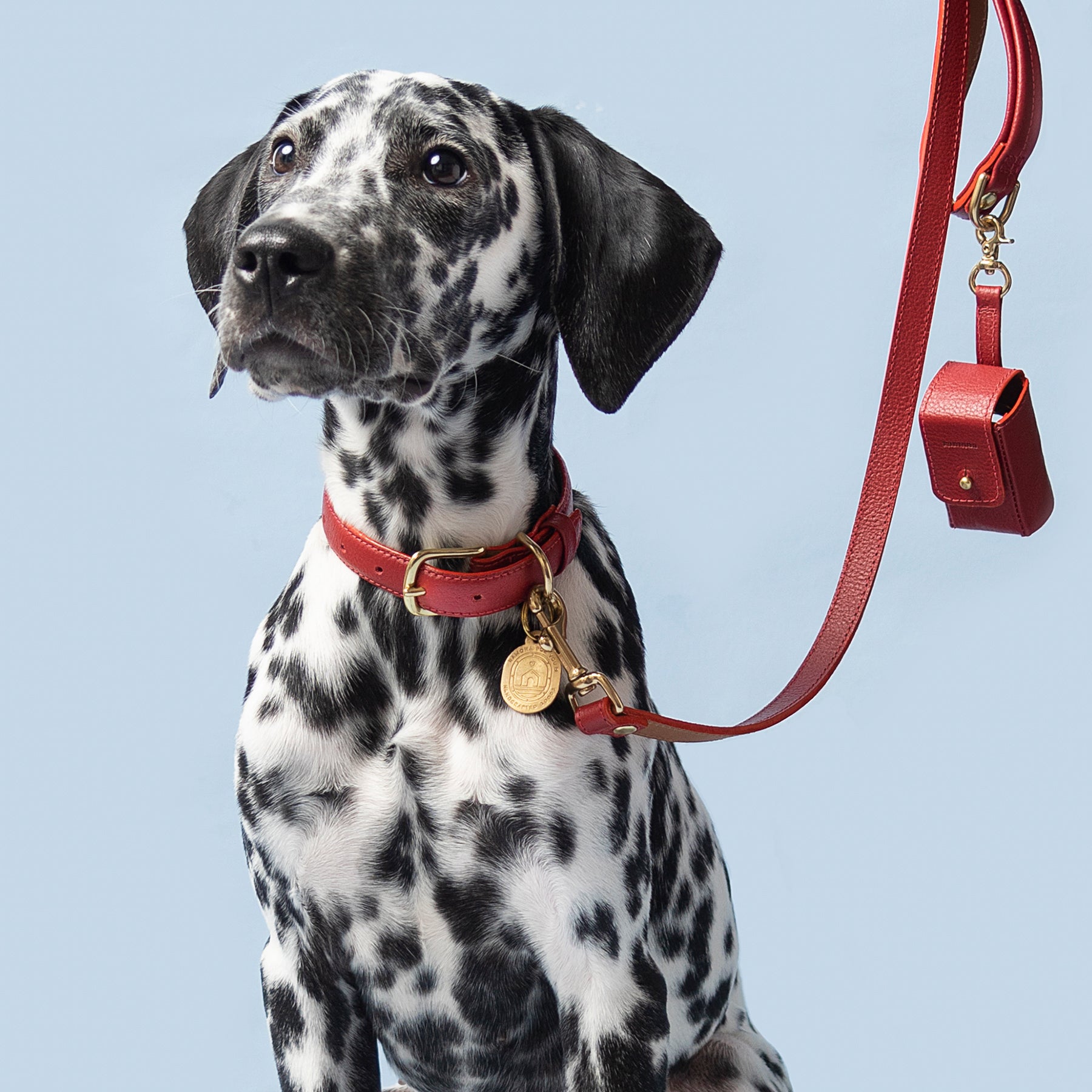 Mars Collar Ramona For You