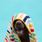 THE PAINTER WIFE X ARISTOPET Multicolor Striped Towel