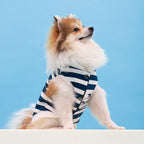 Bomber reversible The Painter Wife x Aristopet