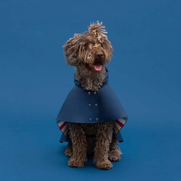 William Waterproof Cape Blue THE PAINTER WIFE X ARISTOPET