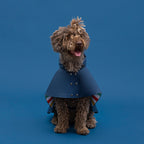 William Waterproof Cape Blue THE PAINTER WIFE X ARISTOPET