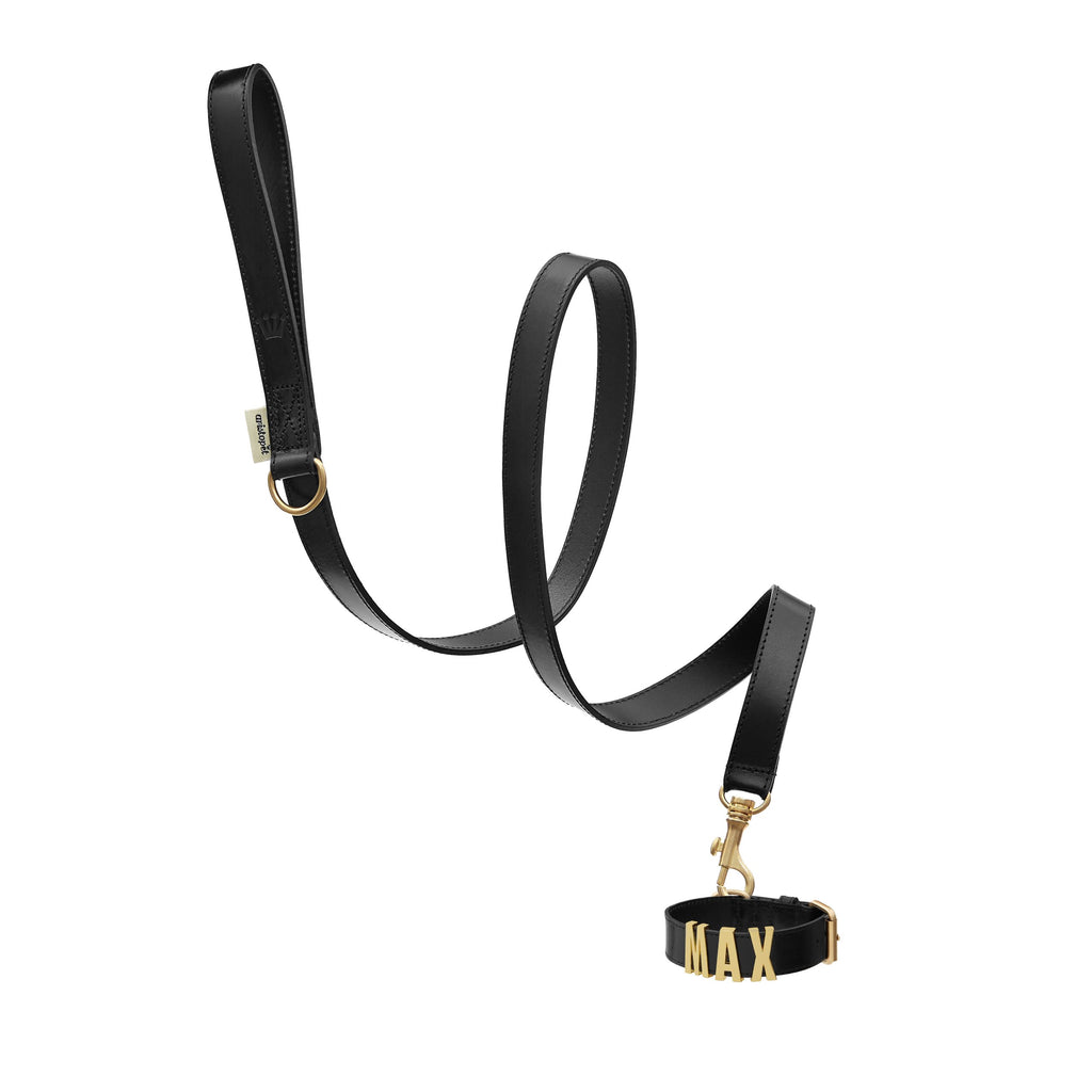 Anselmo Aristopet Leash
