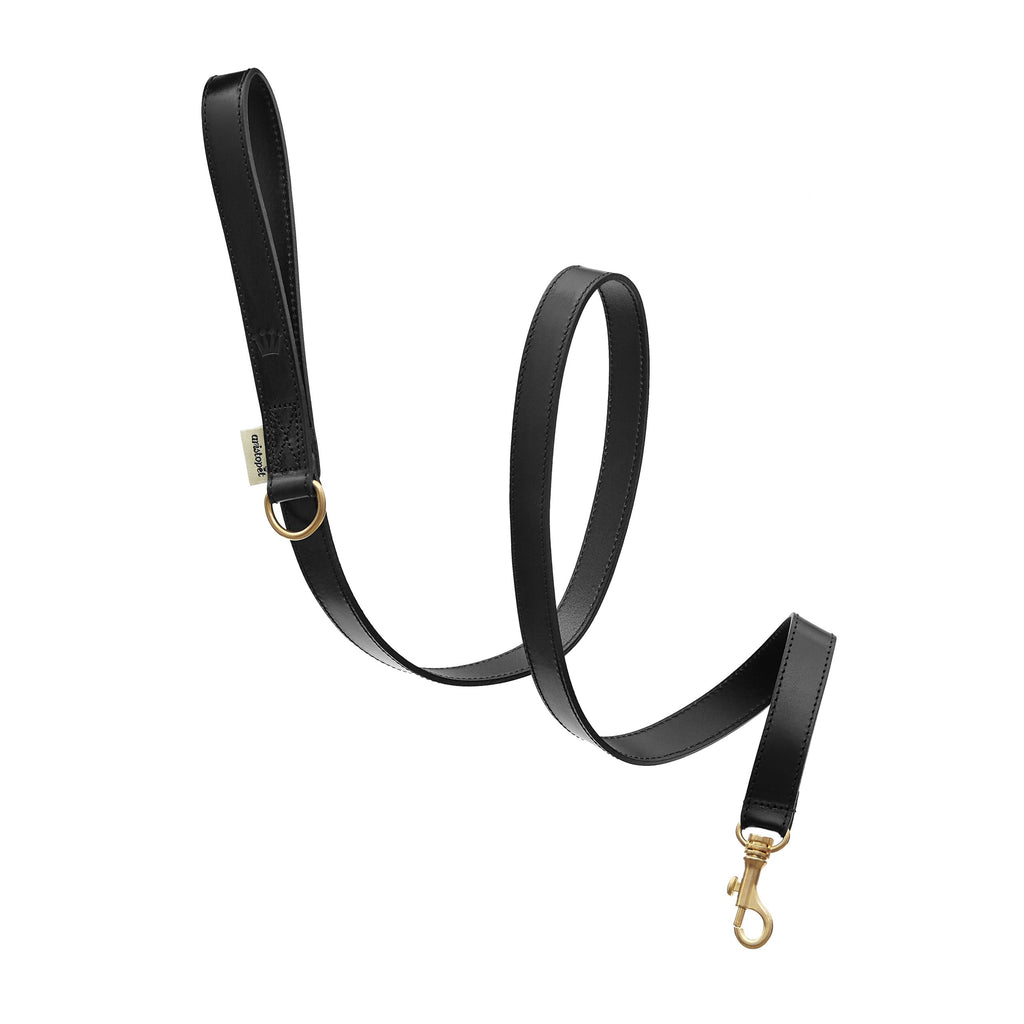 Anselmo Aristopet Leash
