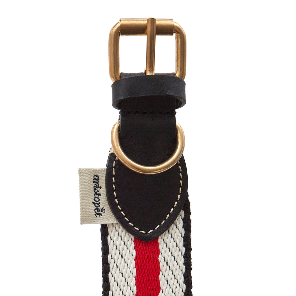 Collar Mopsy Marinero