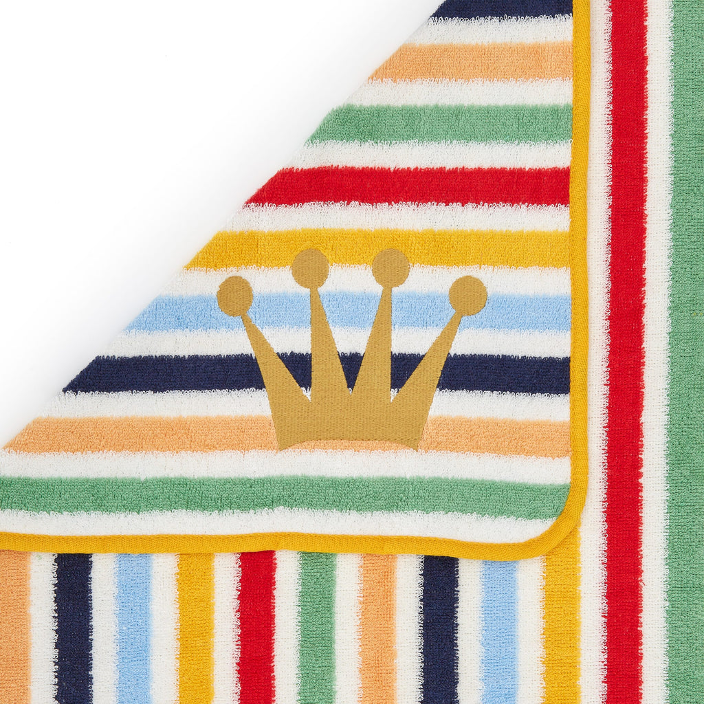 THE PAINTER WIFE X ARISTOPET Multicolor Striped Towel