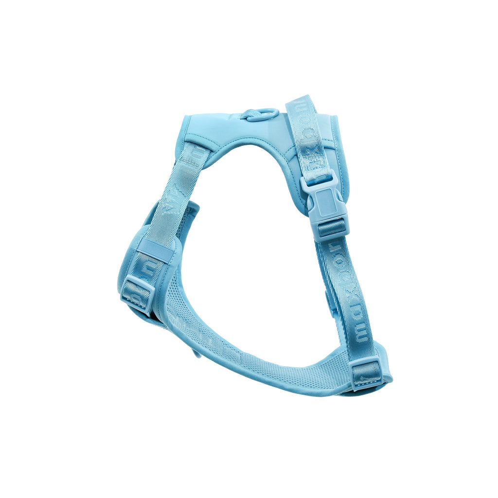 Easy Fit Harness Azul Maxbone x Aristopet
