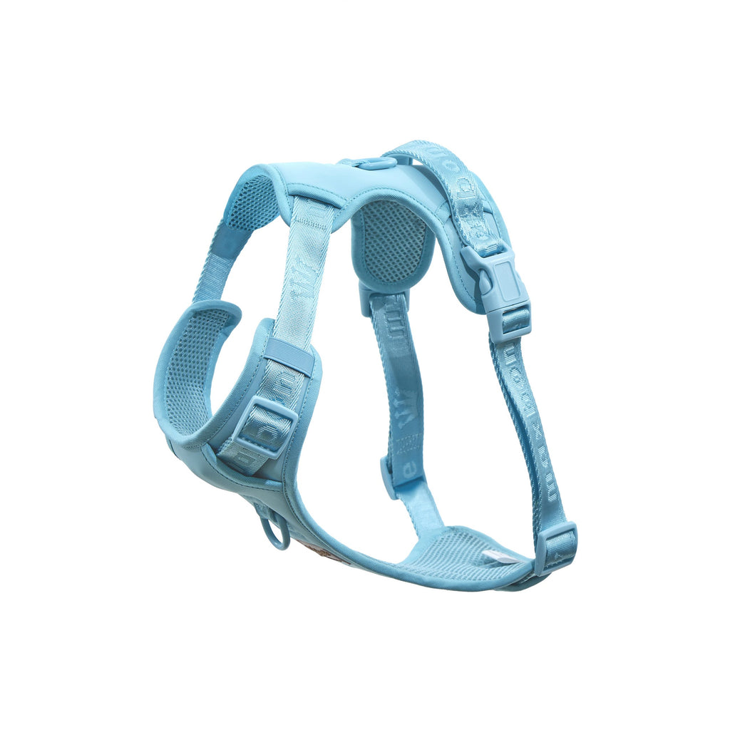 Easy Fit Harness Azul Maxbone x Aristopet