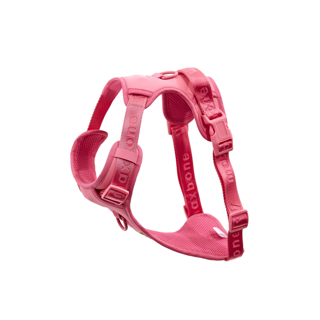 Easy Fit Harness Rosa Maxbone x Aristopet