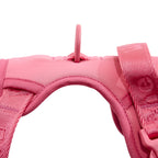 Easy Fit Harness Azul Maxbone x Aristopet