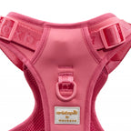 Easy Fit Harness Azul Maxbone x Aristopet