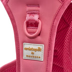 Easy Fit Harness Azul Maxbone x Aristopet