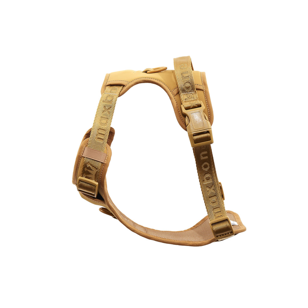 Easy Fit Harness Rosa Maxbone x Aristopet