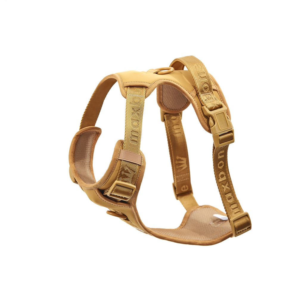 Easy Fit Harness Azul Maxbone x Aristopet