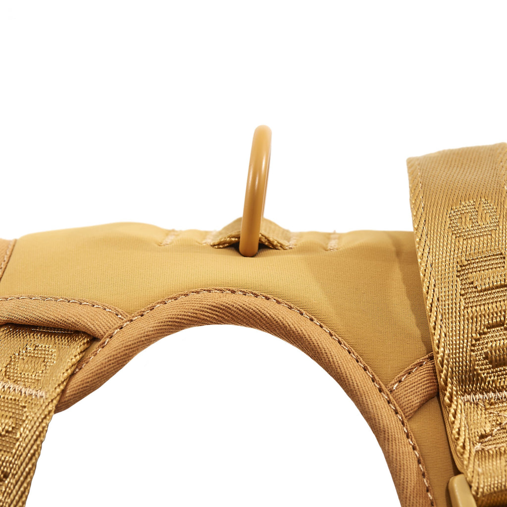 Easy Fit Harness Azul Maxbone x Aristopet