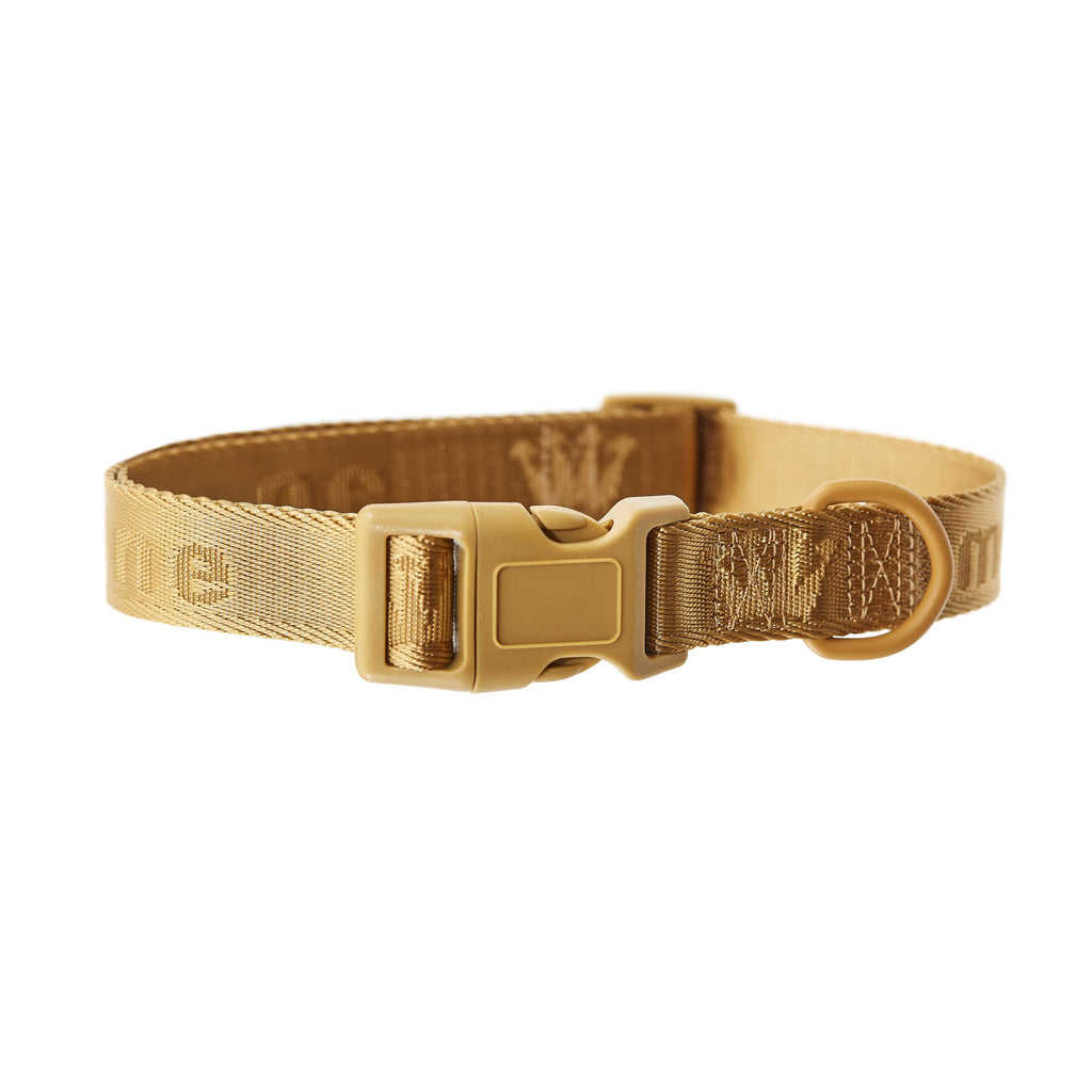 Signature Brown Collar Maxbone x Aristopet