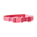 Signature Collar Rosa Maxbone x Aristopet