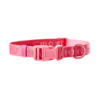 Signature Collar Rosa Maxbone x Aristopet