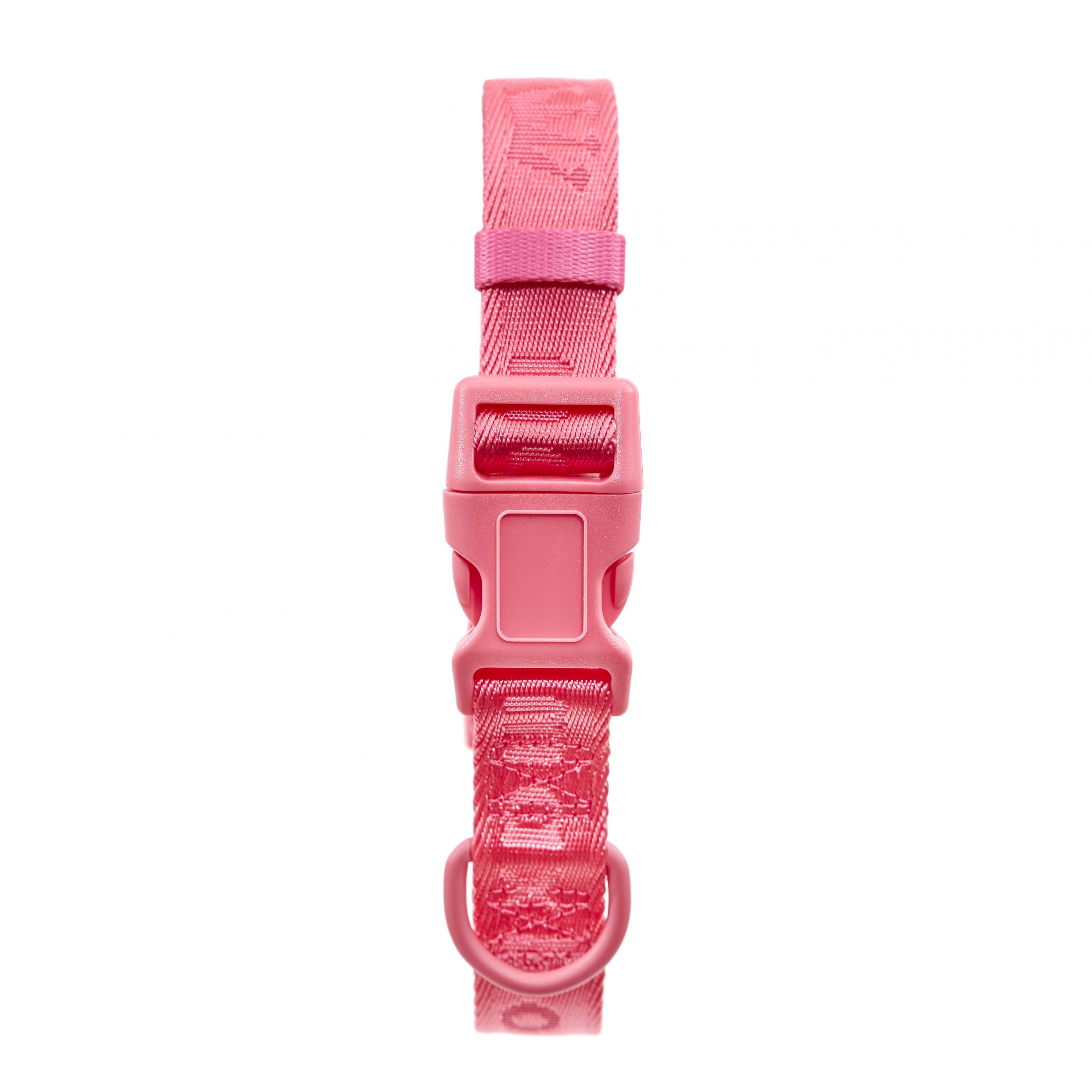 Signature Collar Rosa Maxbone x Aristopet