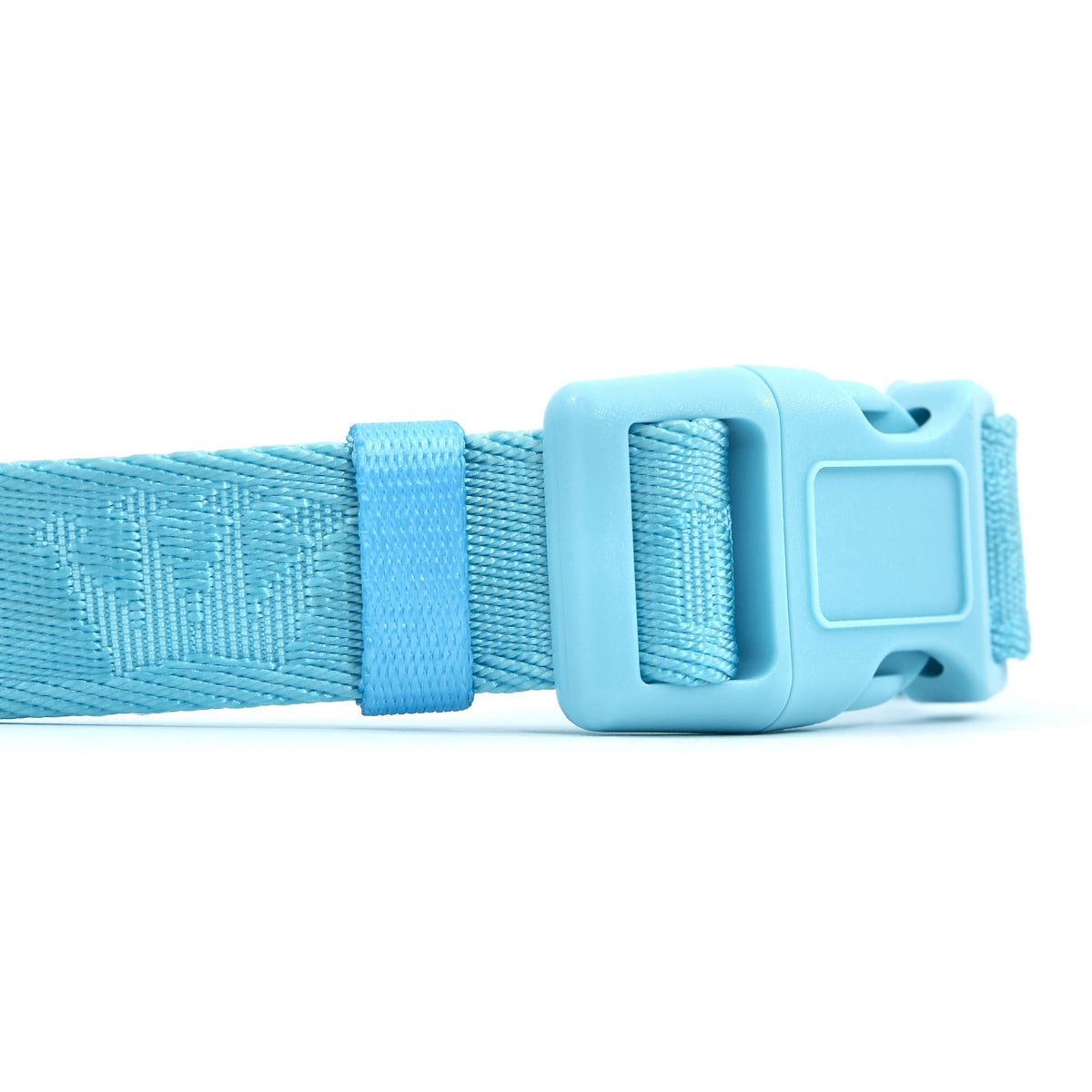 Signature Collar Azul Maxbone x Aristopet