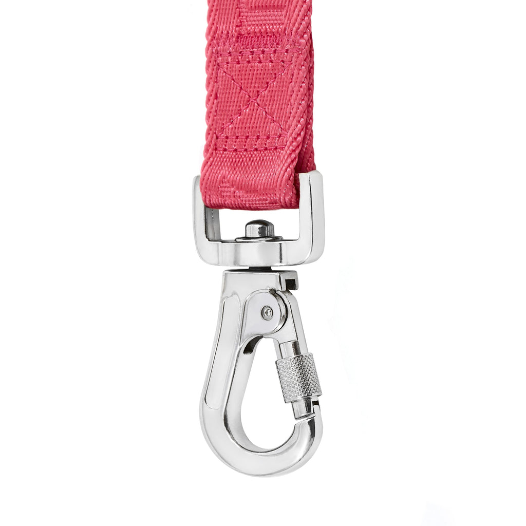 Go with Ease Hands Free Leash  Azul Maxbone x Aristopet