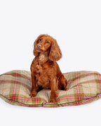 Cama Colchon Newton Moss Danish