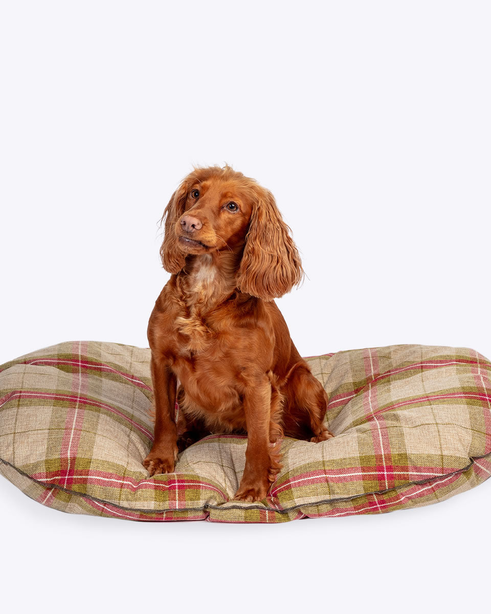 Cama Colchon Newton Moss Danish
