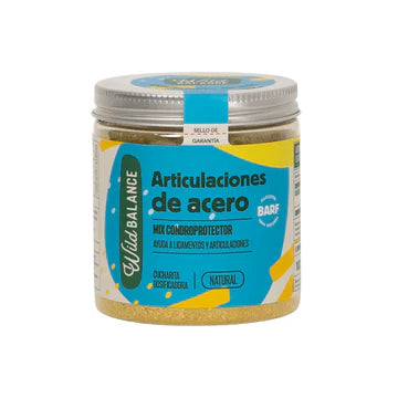 ARTICULACIONES DE ACERO