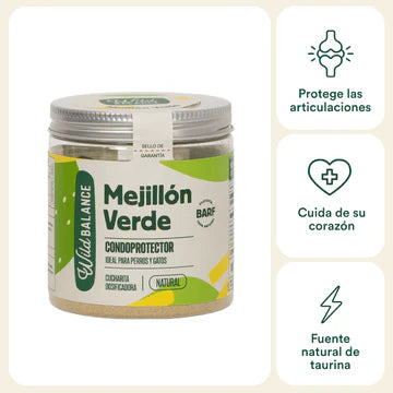 Mejillón Verde