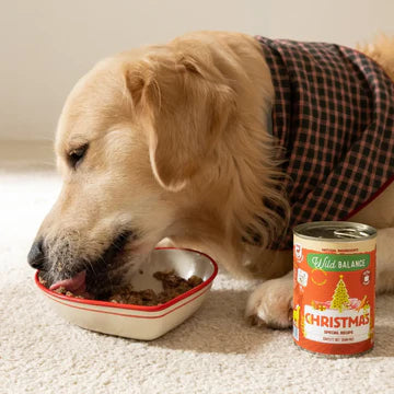 Lata de Comida Cocinada para Perros - Receta Navidad (400g)