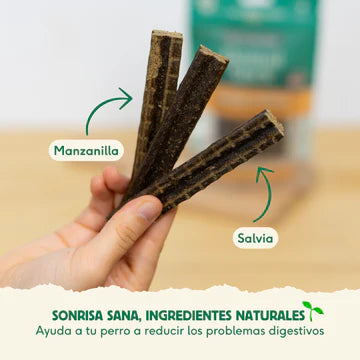 Stick Dental SENSITIVE STOMACH