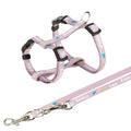 Puppy harness and leash set