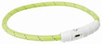 Flash Hoop USB Dog Collar