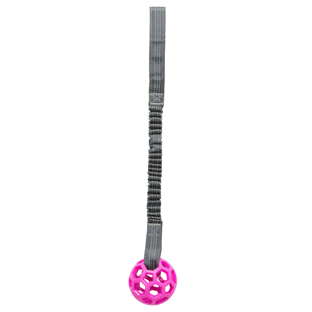 Elastic Rope Pull Toy with Ball for Dog