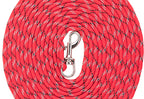 Tracking Leash for Puppies