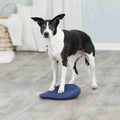 Dog Activity Balance Cushion