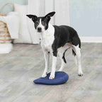 Dog Activity Balance Cushion