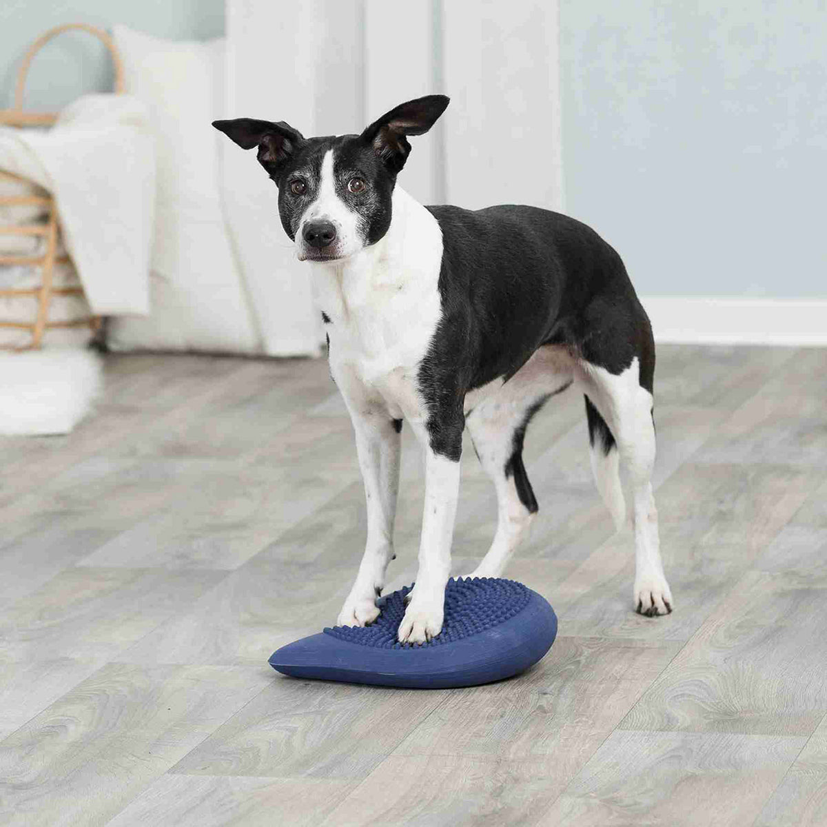 Cojín Equilibrio Dog Activity
