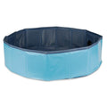 Ibáñez Dog Pool