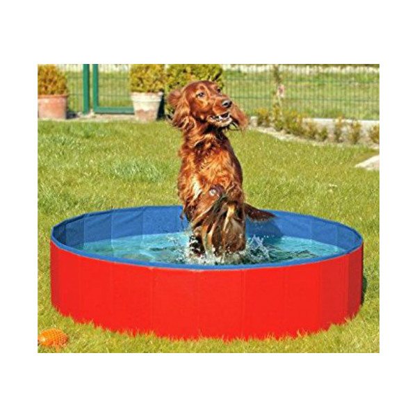 Doggy Pool Piscina Azul/Rojo