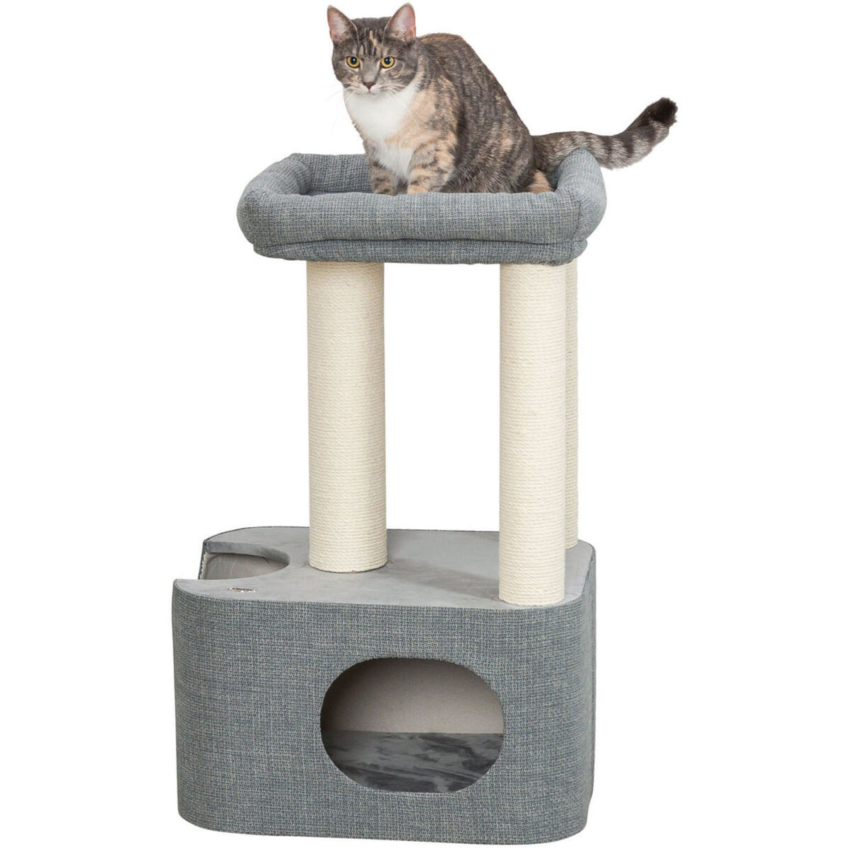 Viviana Scratching Post