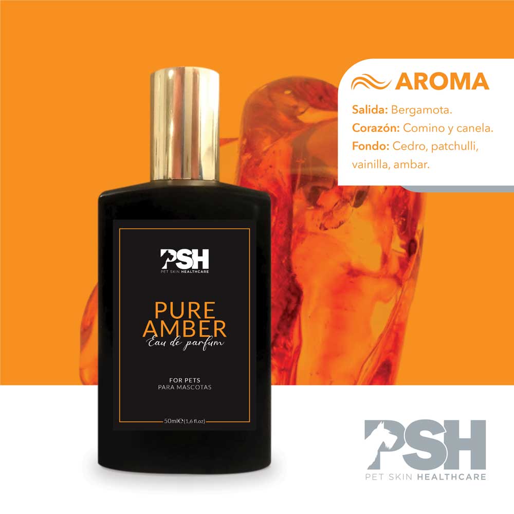 Eau de Parfum – Pure Amber