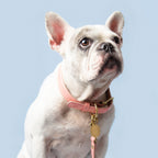 Rosè Collar Ramona For You