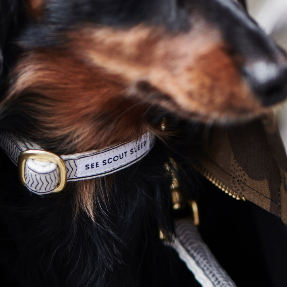 Collar para Perro Chef l’Bark