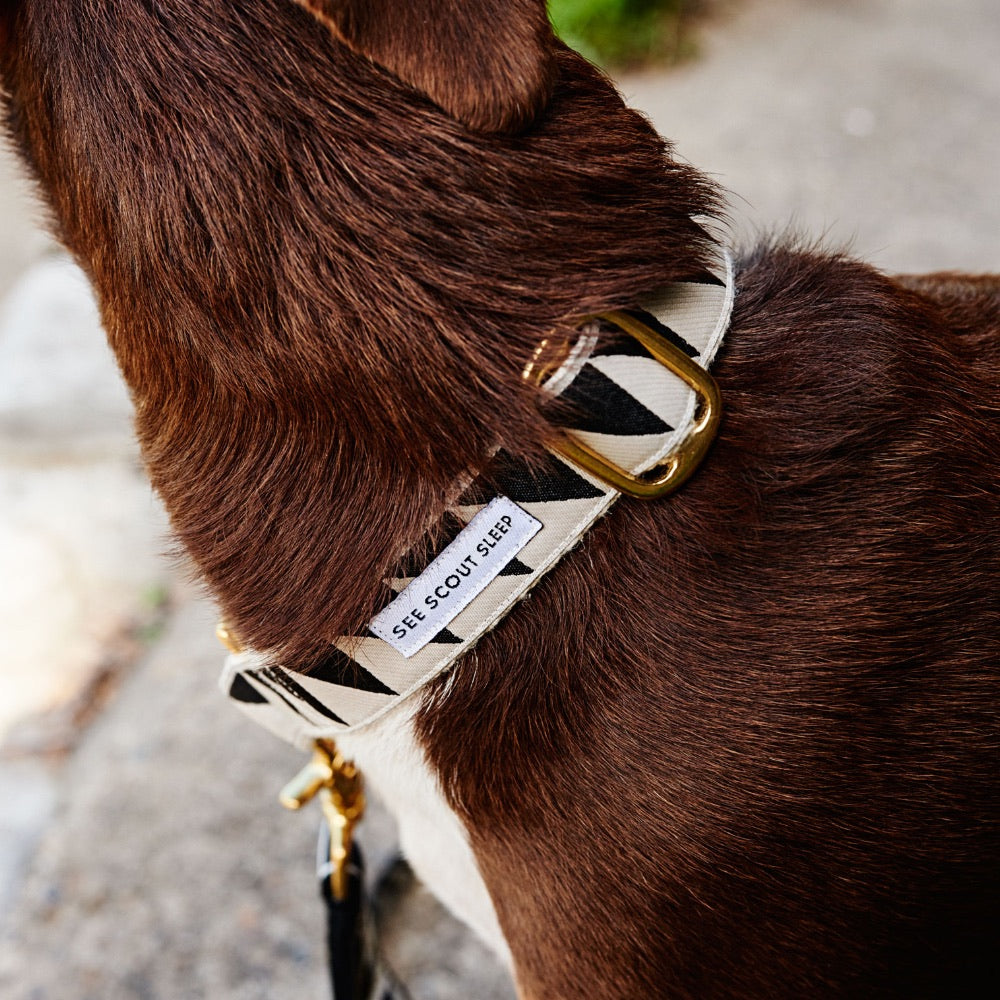 Collar para Perro Nice Grill