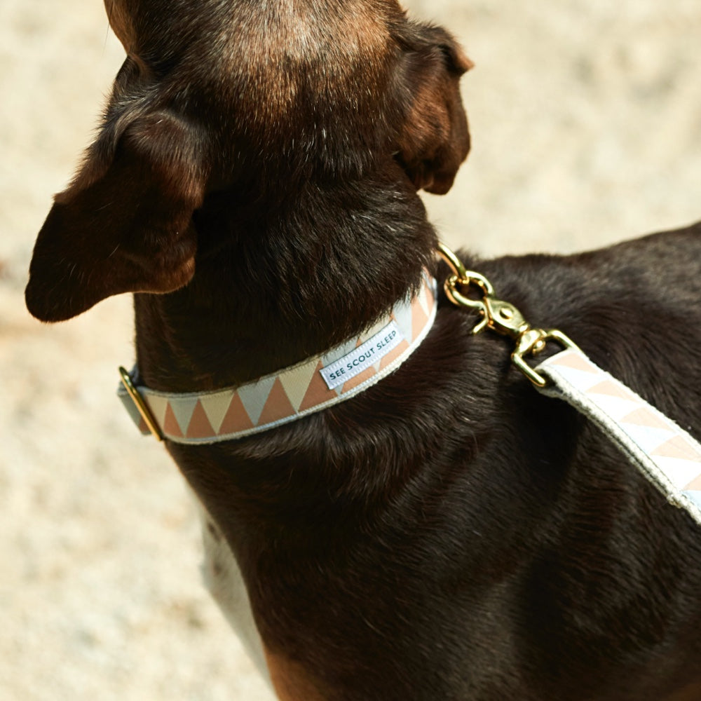 Collar para Perro Nice Grill
