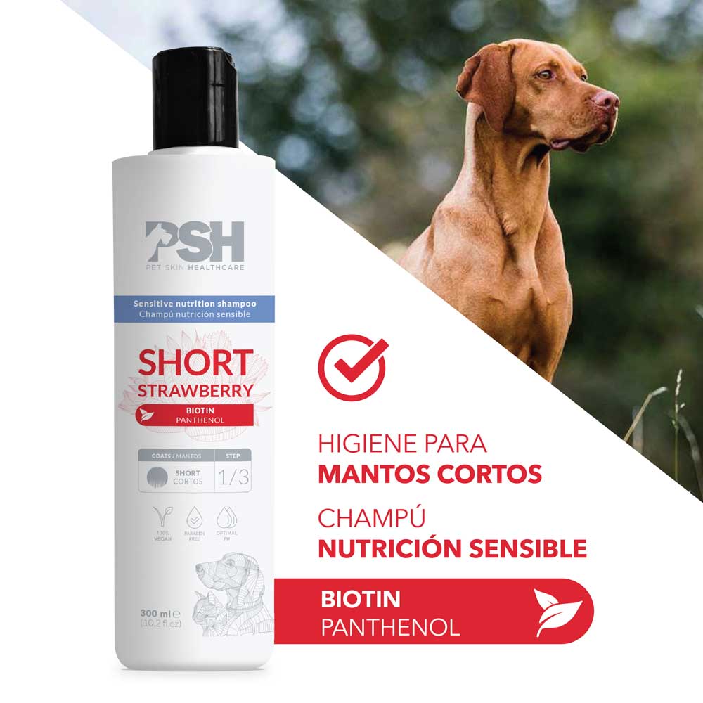 Champú Short Strawberry – Manto Corto PSH