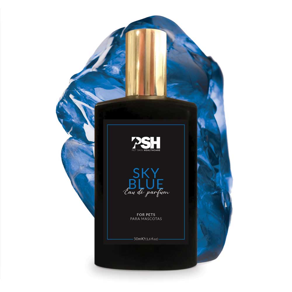 Eau de Parfum – Sky Blue
