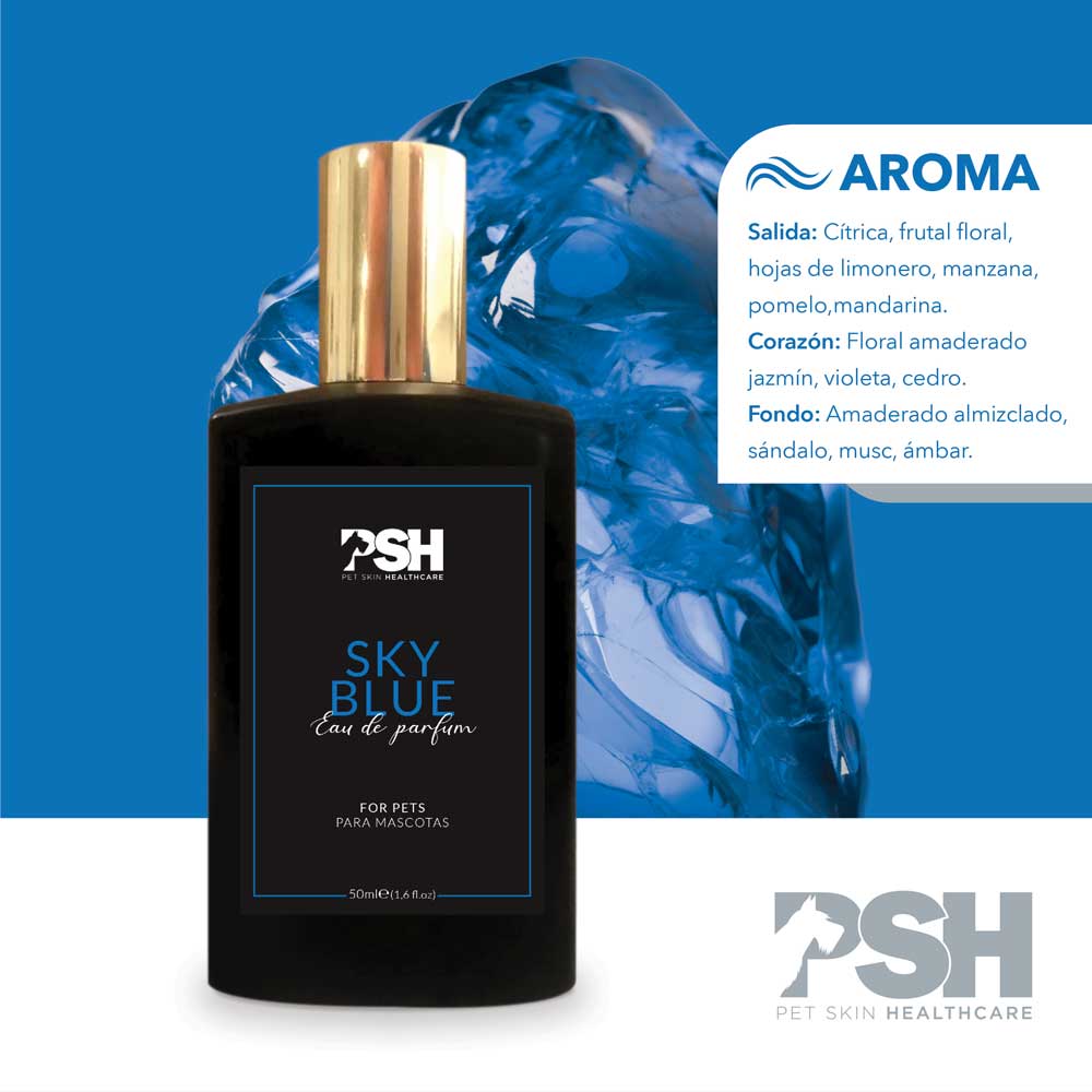 Eau de Parfum – Sky Blue