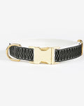 Chef l’Bark Dog Collar