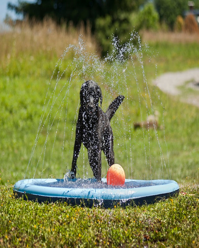 Piscina splash